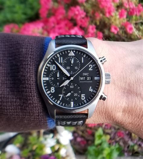 iwc pilot watch review.